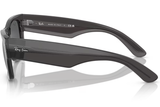 Ray-Ban Sunglasses RB0840S ( Pre_Booking )