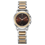 Titan Workmode Brown Dial Women’s Watch NU95324KM01