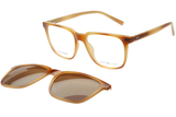 Tommy Hilfiger Sunglasses TH1114 Clipon