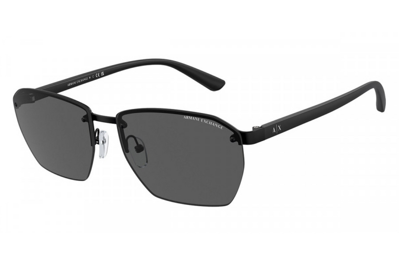 Armani Exchange Sunglasses AX 2048S (Pre Booking)