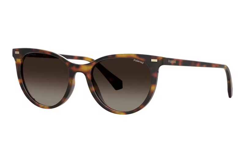 Polaroid Sunglasses PLD 4107/S