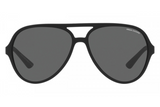 Armani Exchange Sunglasses AX 4133S (Pre Booking)