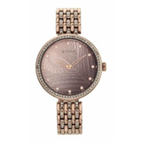 Titan Animalia Brown Dial Women’s Watch NU95129QM01