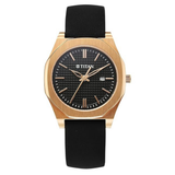 Titan Workday Wonders Black Dial Women’s Watch NU95295WP01