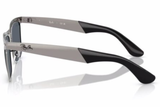 RAY-BAN Sunglasses RB3875