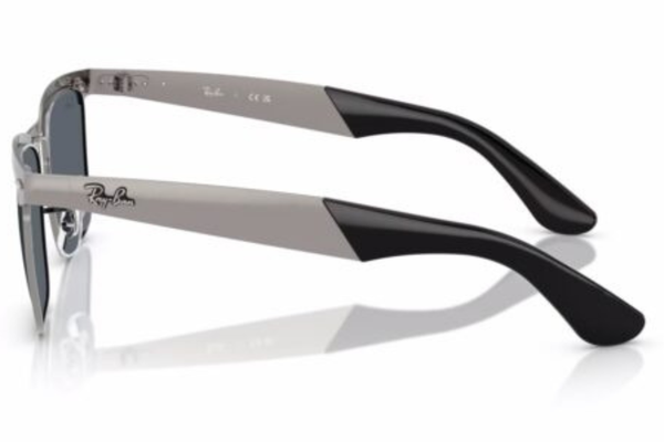 RAY-BAN Sunglasses RB3875