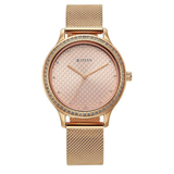 Titan Purple Superheads Women’s Watch 2634WM06