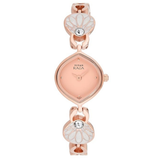 Titan Raga Pink Dial Women’s Watch NU2497WM01