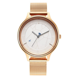 Fastrack Thor Silver Girls Watch NU6269WM01