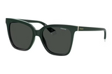 Polaroid Sunglasses PLD 4155/S/X