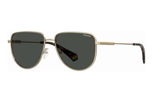 Polaroid Sunglasses PLD 6196/S/X