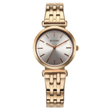 Titan Workmode Silver Dial Women’s Watch NU95322WM01