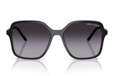 Armani Exchange Sunglasses AX4163S
