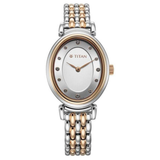 Titan Aura Silver Dial Women’s Watch NU95242KM01