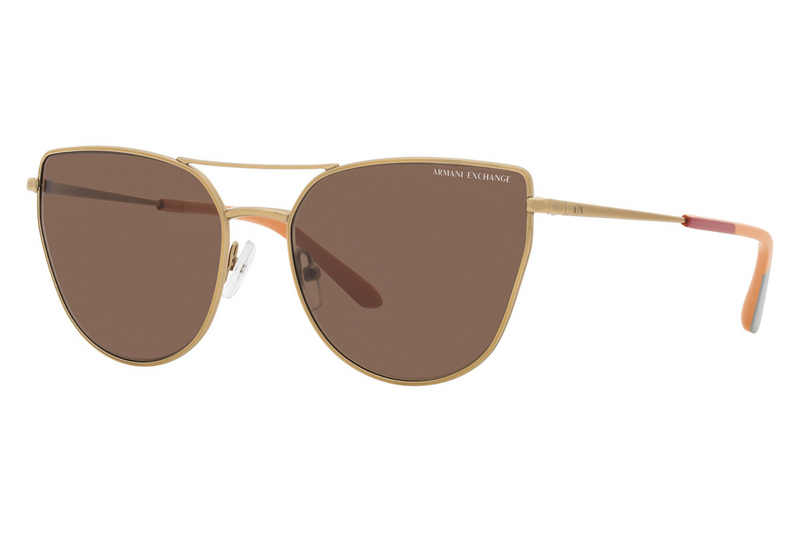 Armani Exchange Sunglasses AX 2045S (Pre Booking)