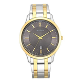 Titan Brown Dial Metal Strap Watch 1825BM01