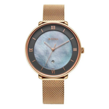 Titan Workwear Mother Of Pearl Dial Women’s Watch NT2651WM10