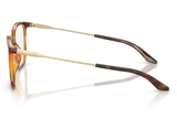Armani Exchange Sunglasses AX3142U