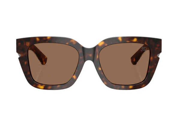 Burberry Sunglasses B4453
