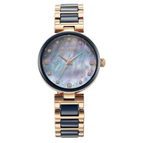 Titan Purple Ceramics Blue Dial Women’s Watch 95214KD05