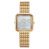 Titan Raga Glimmers Mother Of Pearl Dial Women's Watch NU95343WM01