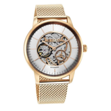 Titan Mechanical Skeleton Leather Watch 90110