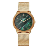 Titan Glamour Green Women’s Watch NU95331WM01