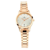 Titan Silver Date Women’s Watch NU2628WM01