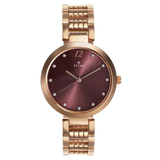 Titan Sparkle Purple Dial Women’s Watch NU2480WM02