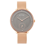 Titan Workwear Grey Dial Women’s Watch NU2651WM01