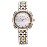 Titan Aura White Women’s Watch NU95241KM01