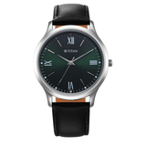 Titan Karishma Watch for Men 1648SL04