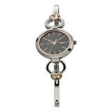Titan Raga Viva Grey Dial Women's Watch NS2621QM01