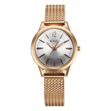 Titan Timeless Urban Silver Dial Women’s Watch NU95287WM01