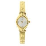 Titan Silver Dial Gold Women’s Watch NU2417YM01