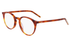 Zeiss Frame ZS22501