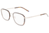 Zeiss Frame ZS22105