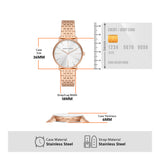 Armani Exchange Lola Analog Watch Gift Set for Women AX7145SET