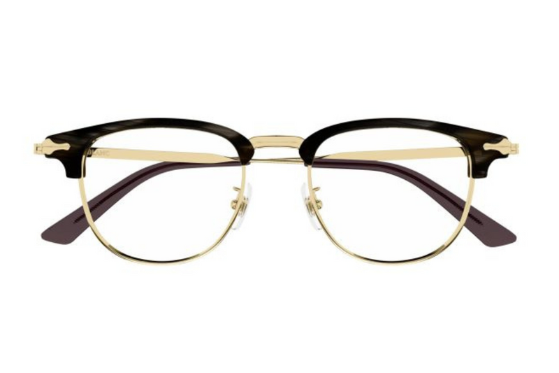 Mont Blanc Frame MB0364O