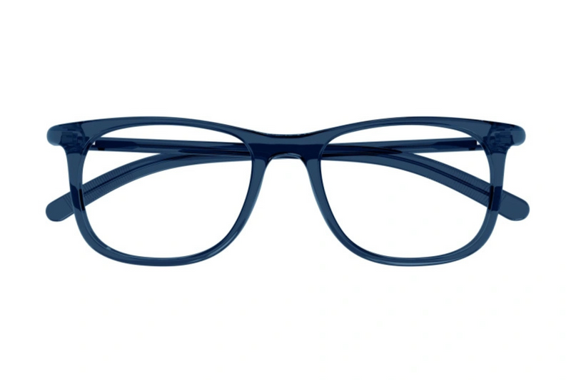 Mont Blanc Frame MB0351O