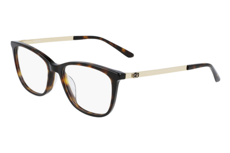 Calvin Klein Frame CK21701