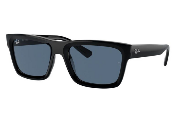 Ray-Ban WARREN RB4396 667780