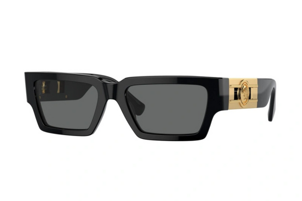 Versace Sunglasses VE4459 GB1/87 54