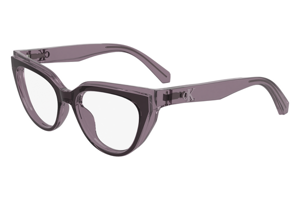 Calvin Klein Jeans Frame CKJ24628