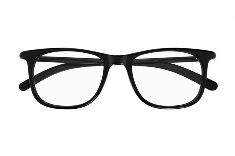 Mont Blanc Frame MB0351O