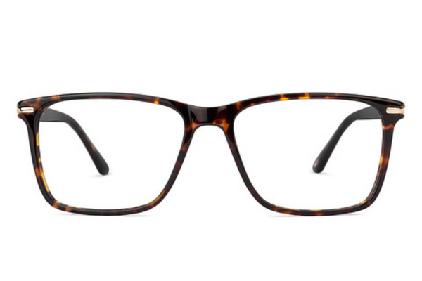 Tommy Hilfiger Frame TH3198