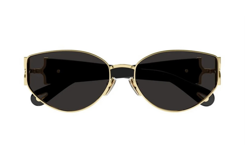 Chloé Sunglasses CH0260S 001