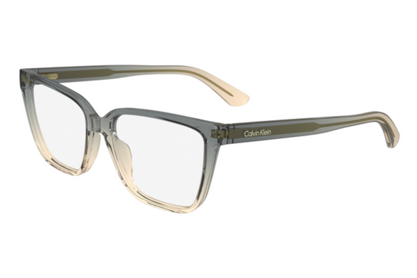 Calvin Klein Frame CK24524