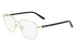 Calvin Klein Frame CK21300