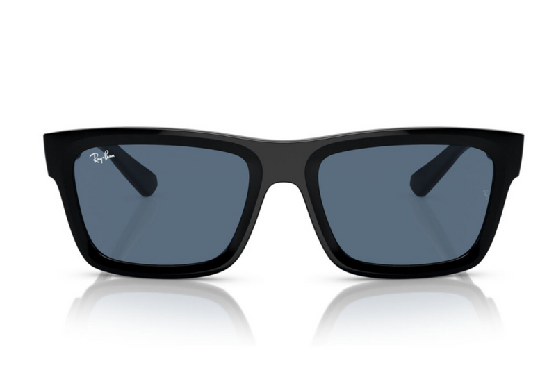 Ray-Ban WARREN RB4396 667780